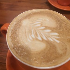 Meet your Posher, Finnian